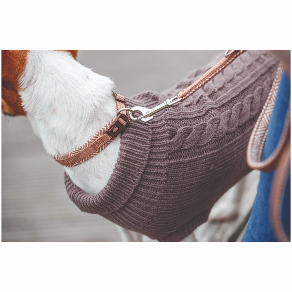 Trixie Premium Extra Wide Neoprene Padded Collar for Dogs (Boho Diamond/Caramel)
