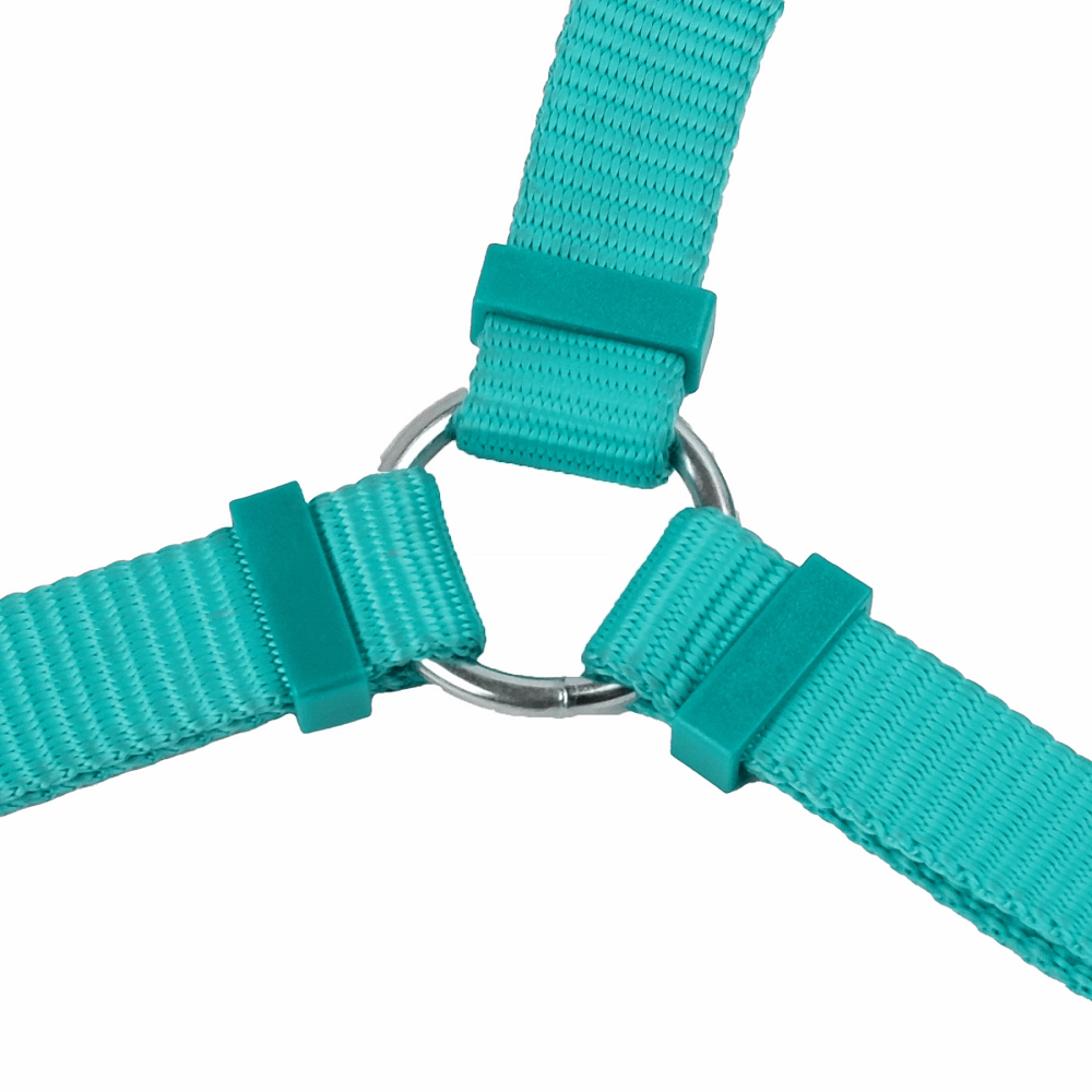 Trixie Premium H Harness for Dogs (Ocean)