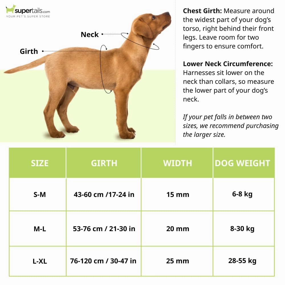 Trixie Premium H Harness for Dogs (Ocean)