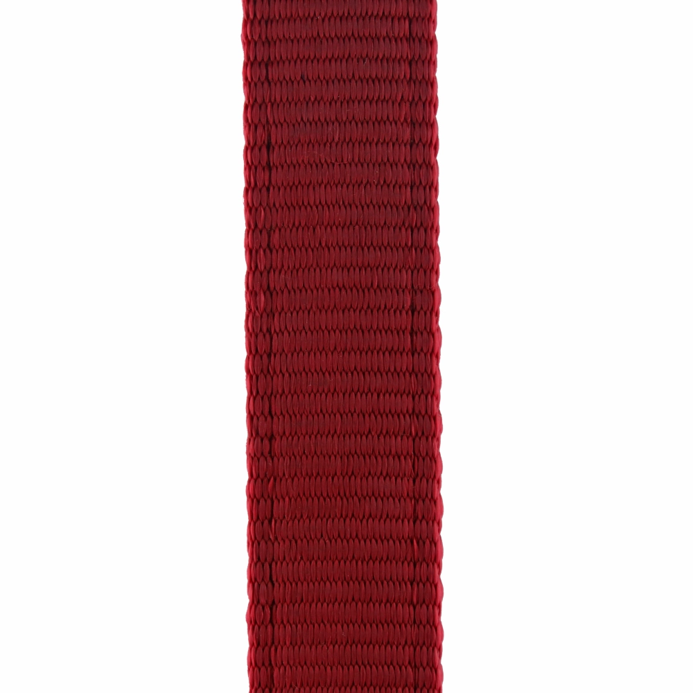 Trixie Premium Leash for Dogs (Red)