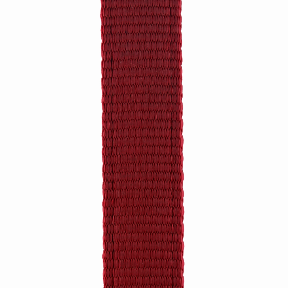 Trixie Premium Leash for Dogs (Red)