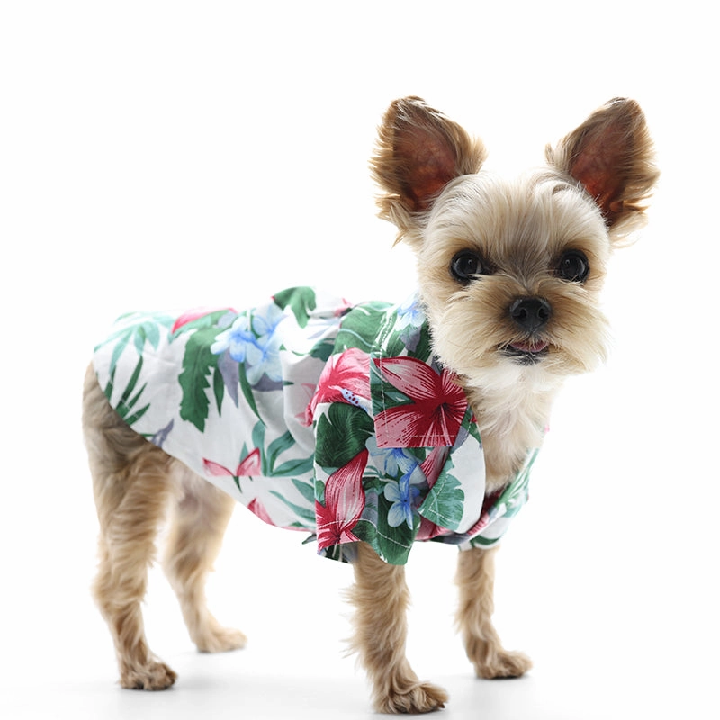 Tropical Island Dog Shirt White