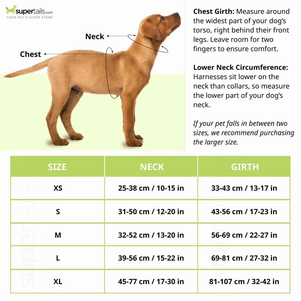Truelove Classic Harness and Padded Collar for Dogs (Grey) - S