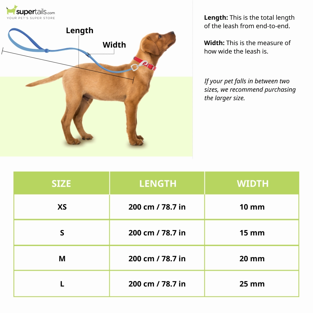 Truelove Classic Reflective Leash for Dogs (Grey)