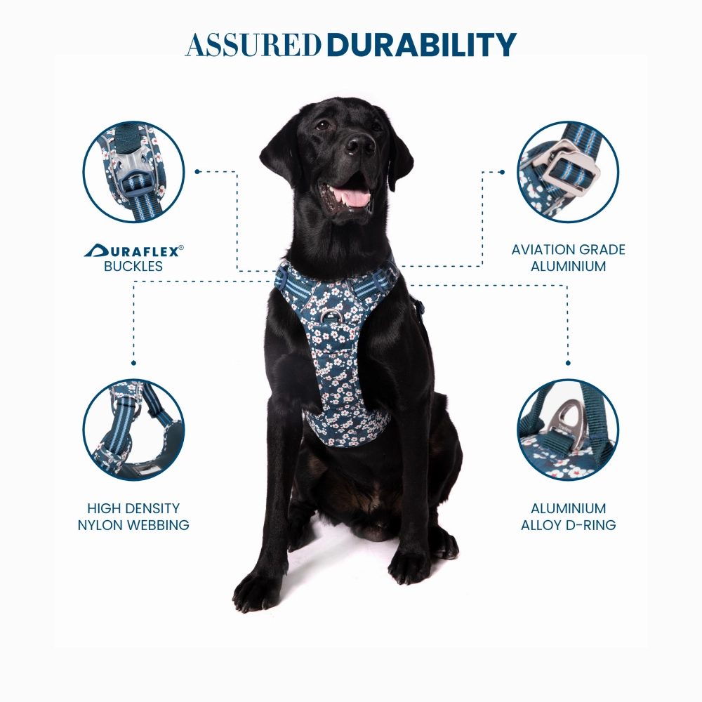 Truelove Floral No Pull 3M Reflective Harness for Dogs (Saxony Blue)