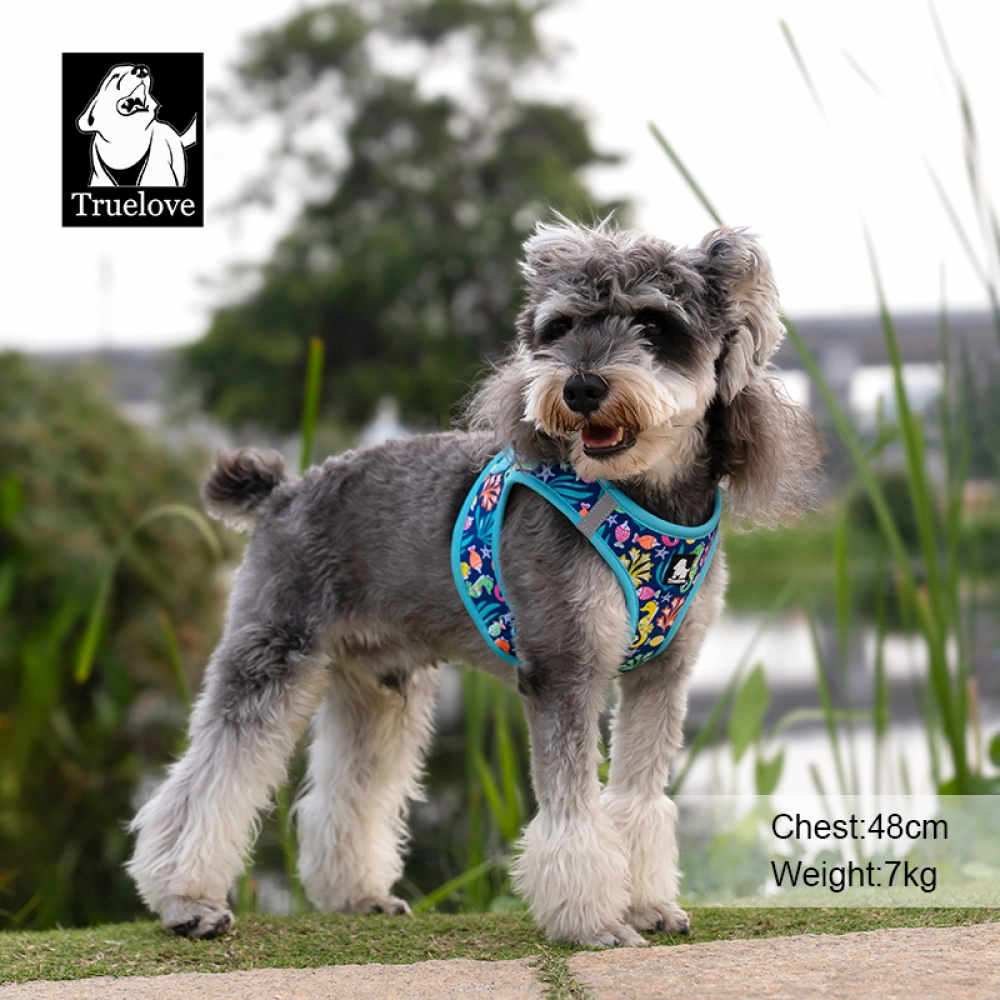 Truelove Floral Printed Breathable Air Mesh with with Dual D Rings Harness for Dogs (Blue Atoll)