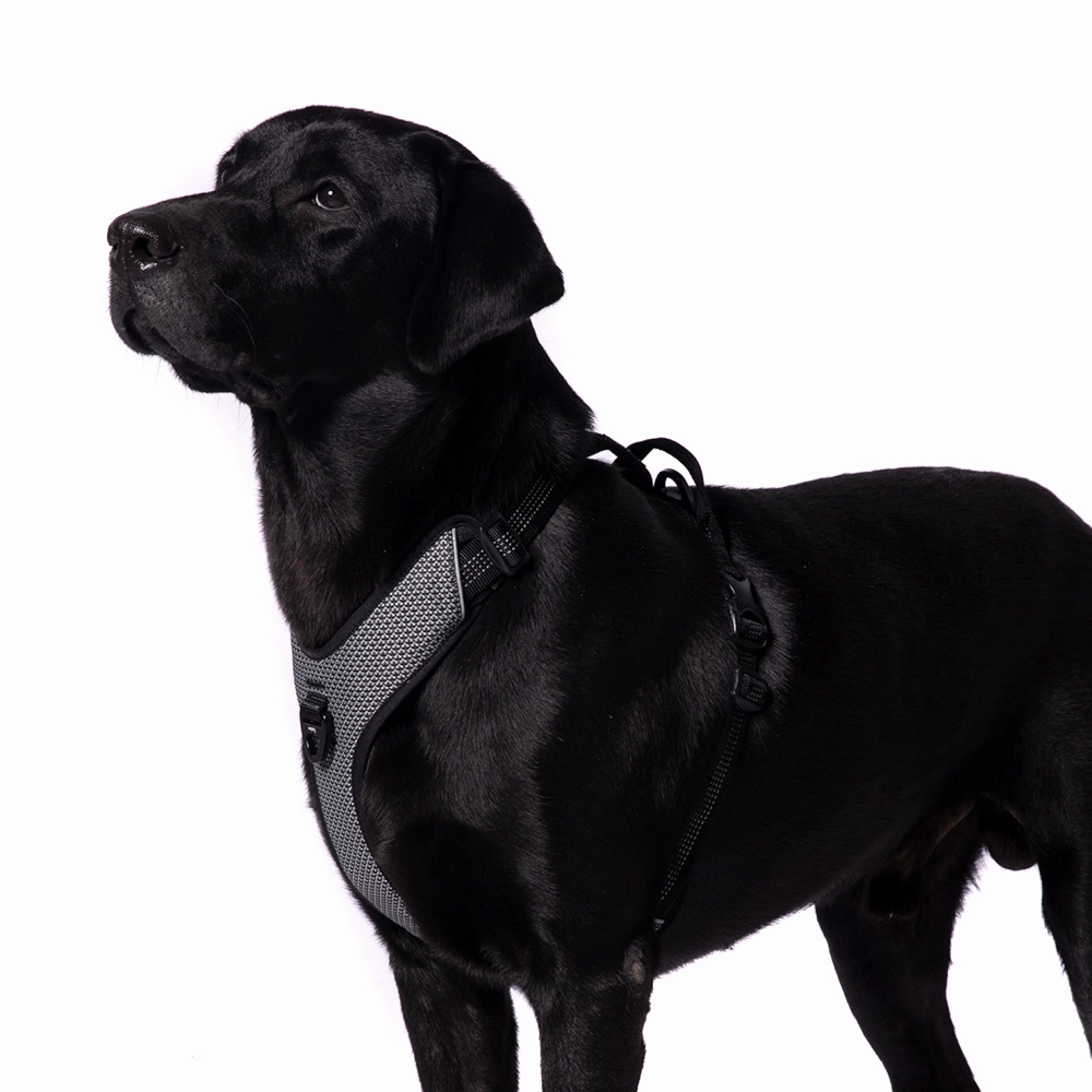 Truelove Harness with Reflective Fabric for Dogs (Black)