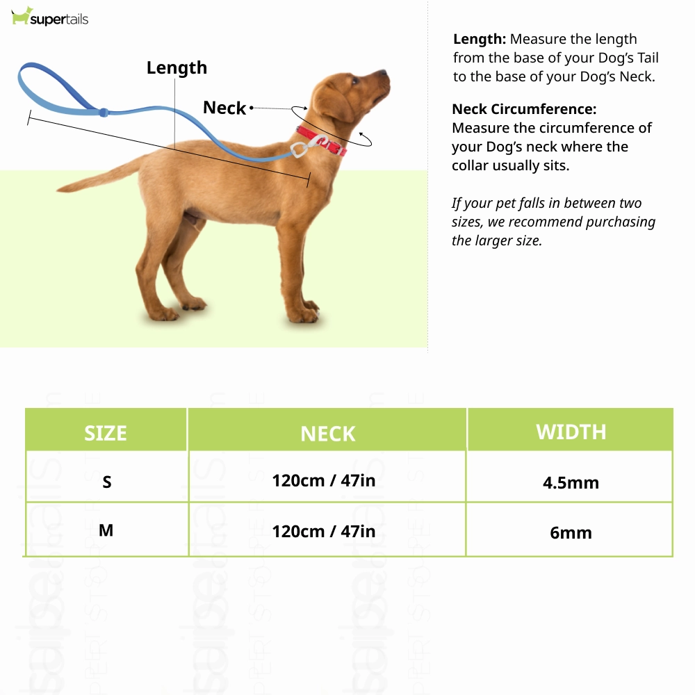 Truelove High Density Reflective Rope Webbing Leash for Dogs (Red)