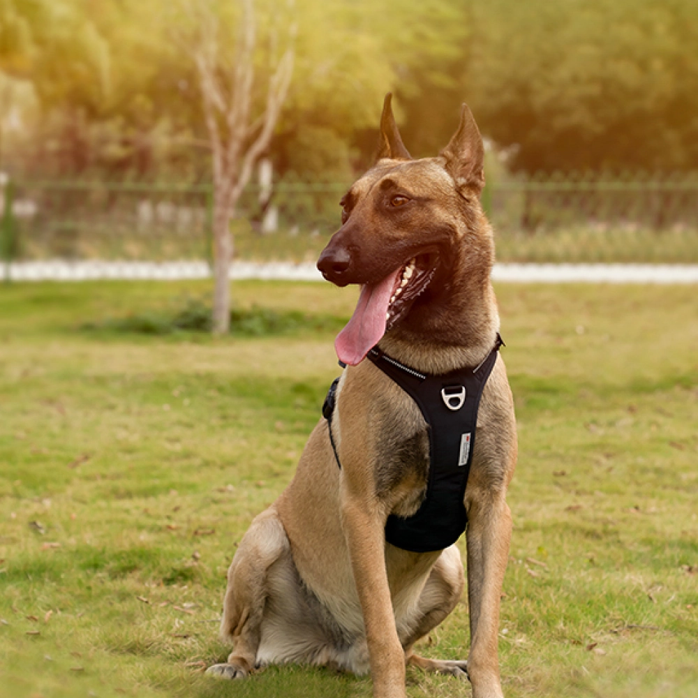 Truelove No Pull Cordura Harness with 3M Reflective Material for Dogs (Black)