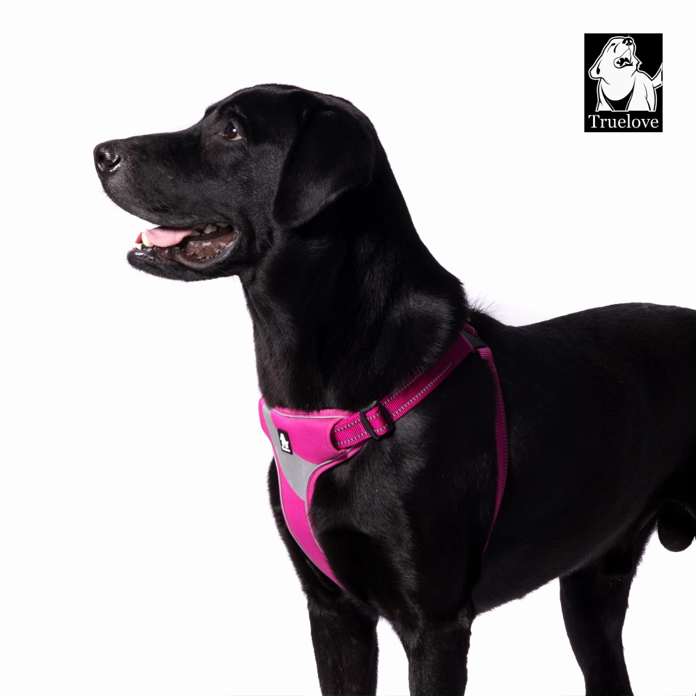 Truelove Step in with Duraflex Buckles & 3M Reflective Harness for Dogs (Fuschia)