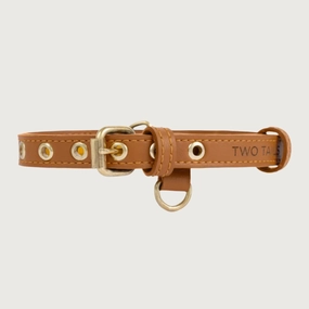 TWO TAILS PET COMPANY Cactus Leather Dog Collar - Caramel