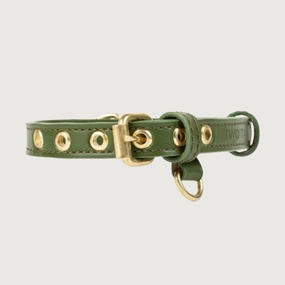 TWO TAILS PET COMPANY Cactus Leather Dog Collar - Green