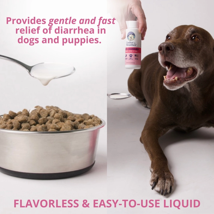 Under the Weather Anti-Diarrhea Liquid Supplement For Dogs