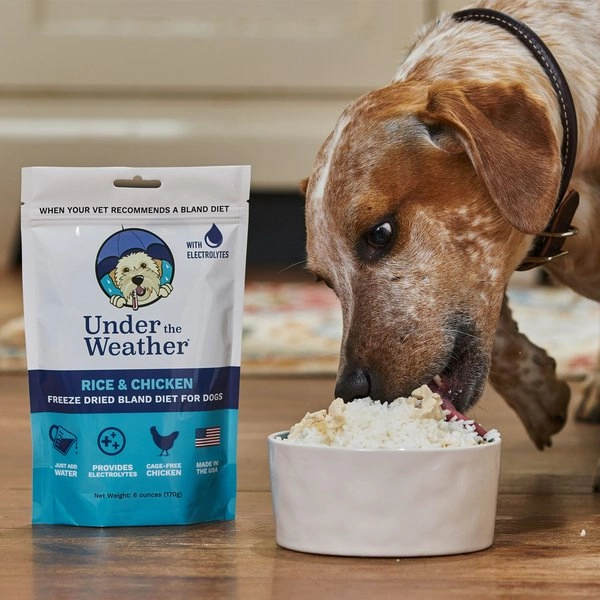 Under the Weather Chicken & Rice Freeze-Dried Bland Diet For Dogs