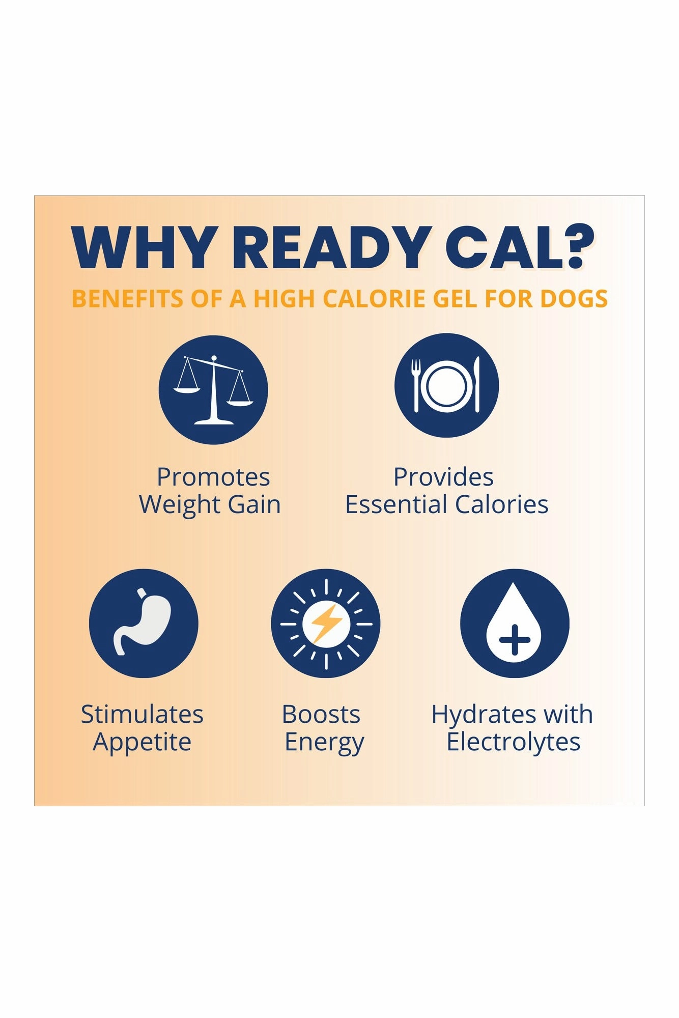 Under the Weather Ready Cal Plus   Electrolytes Squeezable for Dogs