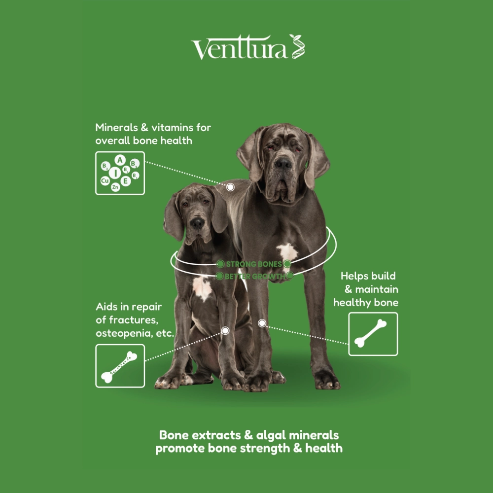 Venttura Calci Pro Plus Chewable Calcium Supplement Tablets for Dogs