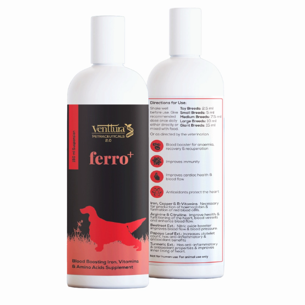 Venttura Ferro Plus Iron Supplements Syrup for Dogs
