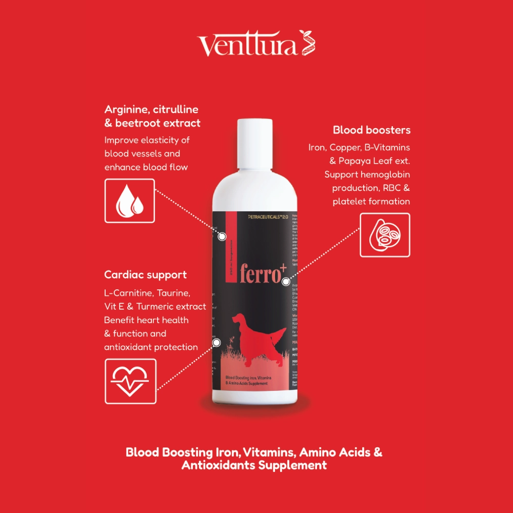 Venttura Ferro Plus Iron Supplements Syrup for Dogs