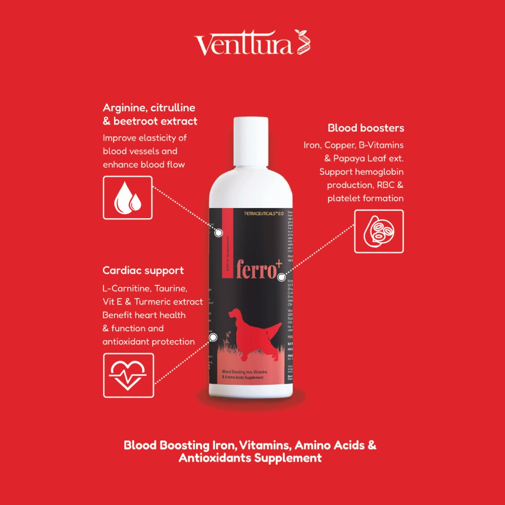 Venttura Ferro Plus Iron Supplements Syrup for Dogs