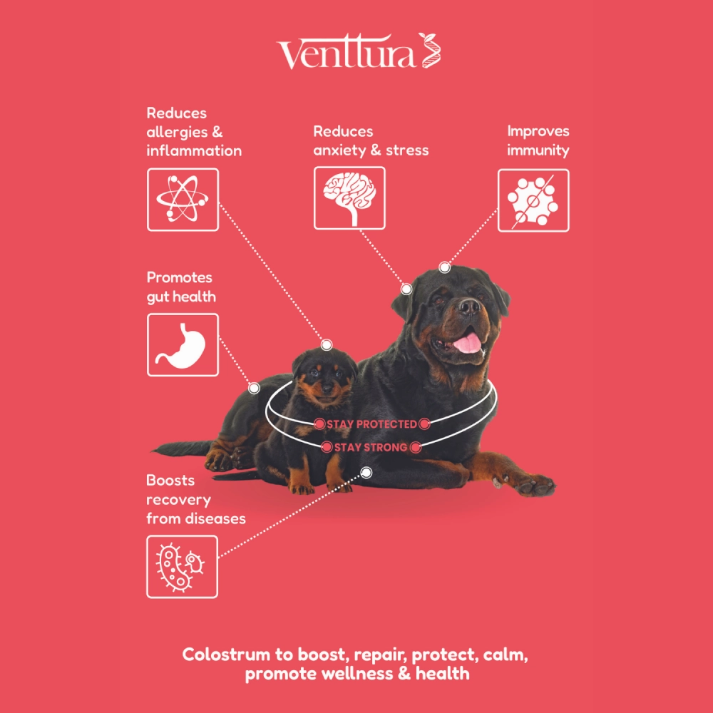 Venttura Immuno Plus Immunity Booster Spray for Dogs