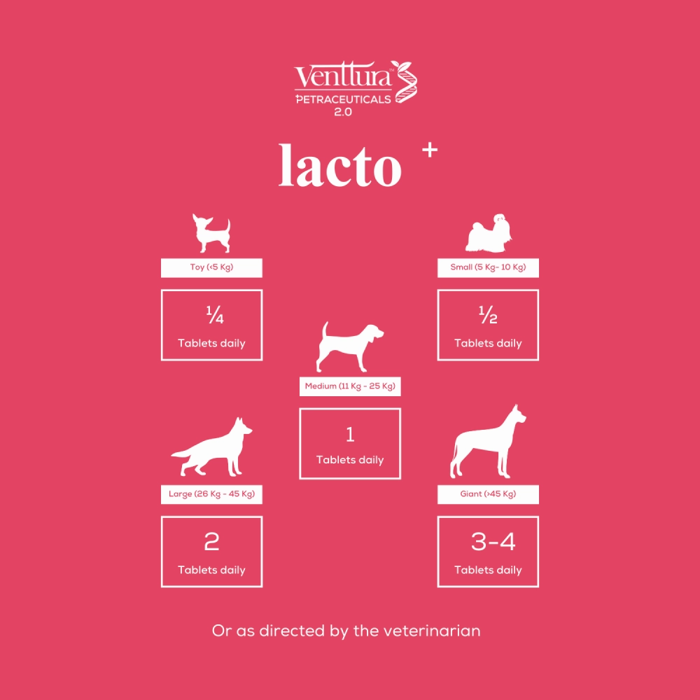 Venttura Lacto Plus Milk Boosters Chewable Tablets for Dogs