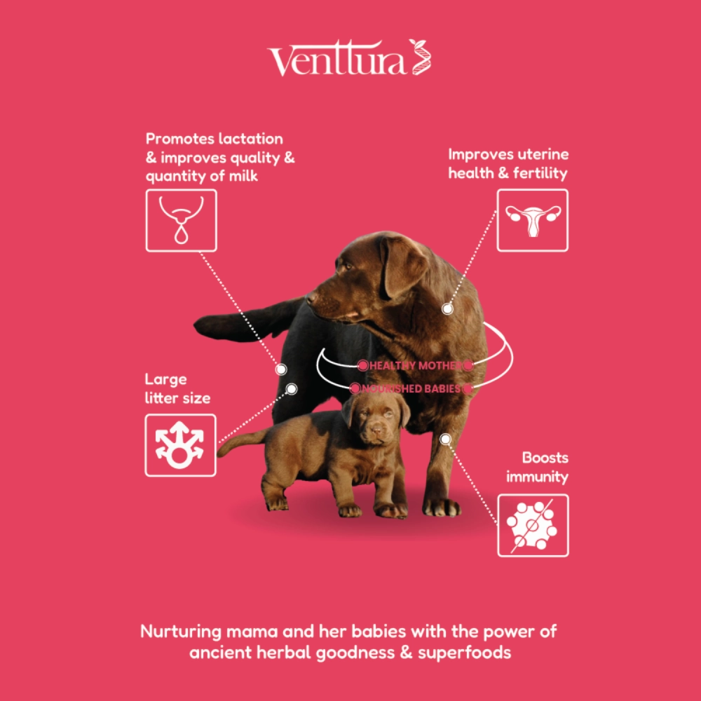 Venttura Lacto Plus Milk Boosters Chewable Tablets for Dogs