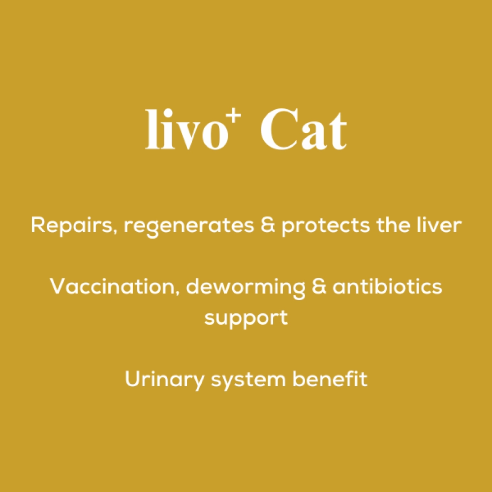 Venttura Liver Repair, Support Recovery & Recuperation Supplement for Cats