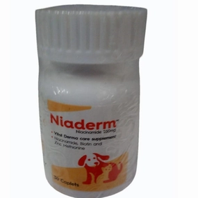 Vvaan Niaderm 250mg (Niacinamide) Capsules Derma Care Supplements for Dogs and Cats
