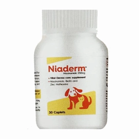 Vvaan Niaderm 500mg (Niacinamide) Capsules Derma Care Supplements for Dogs and Cats