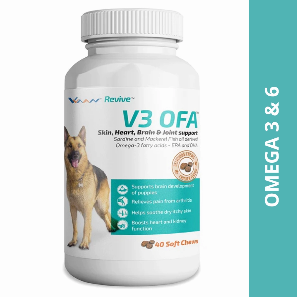 Vvaan V3 OFA Tablet Omega 3 & 6 Supplements for Dogs (pack of 40 tablets)