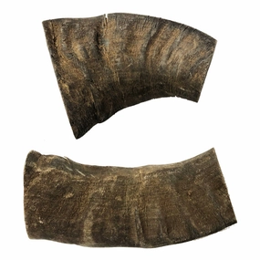 Water Buffalo Horn-Large