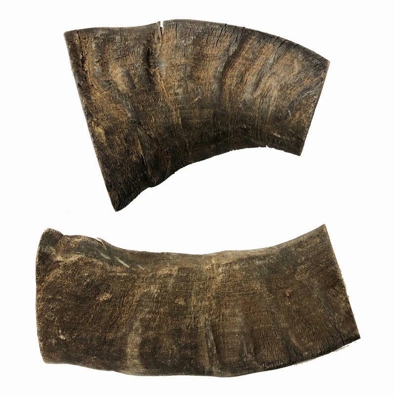 Water Buffalo Horn-Large