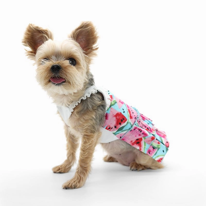 Watermelon Dog Dress
