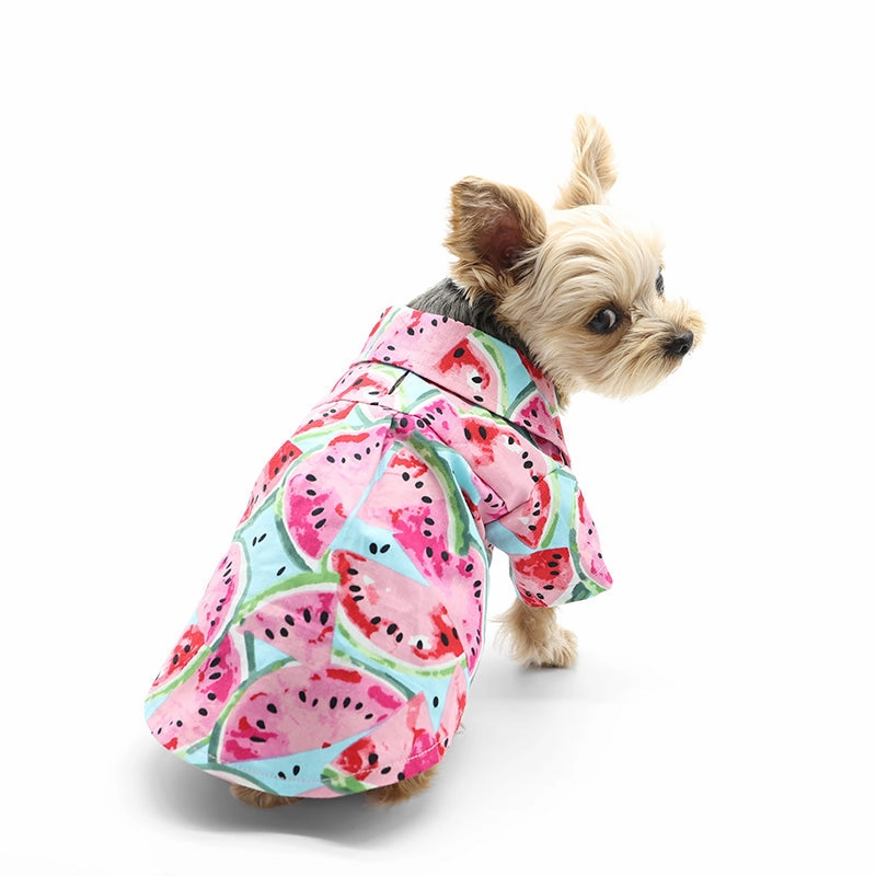 Watermelon Dog Shirt