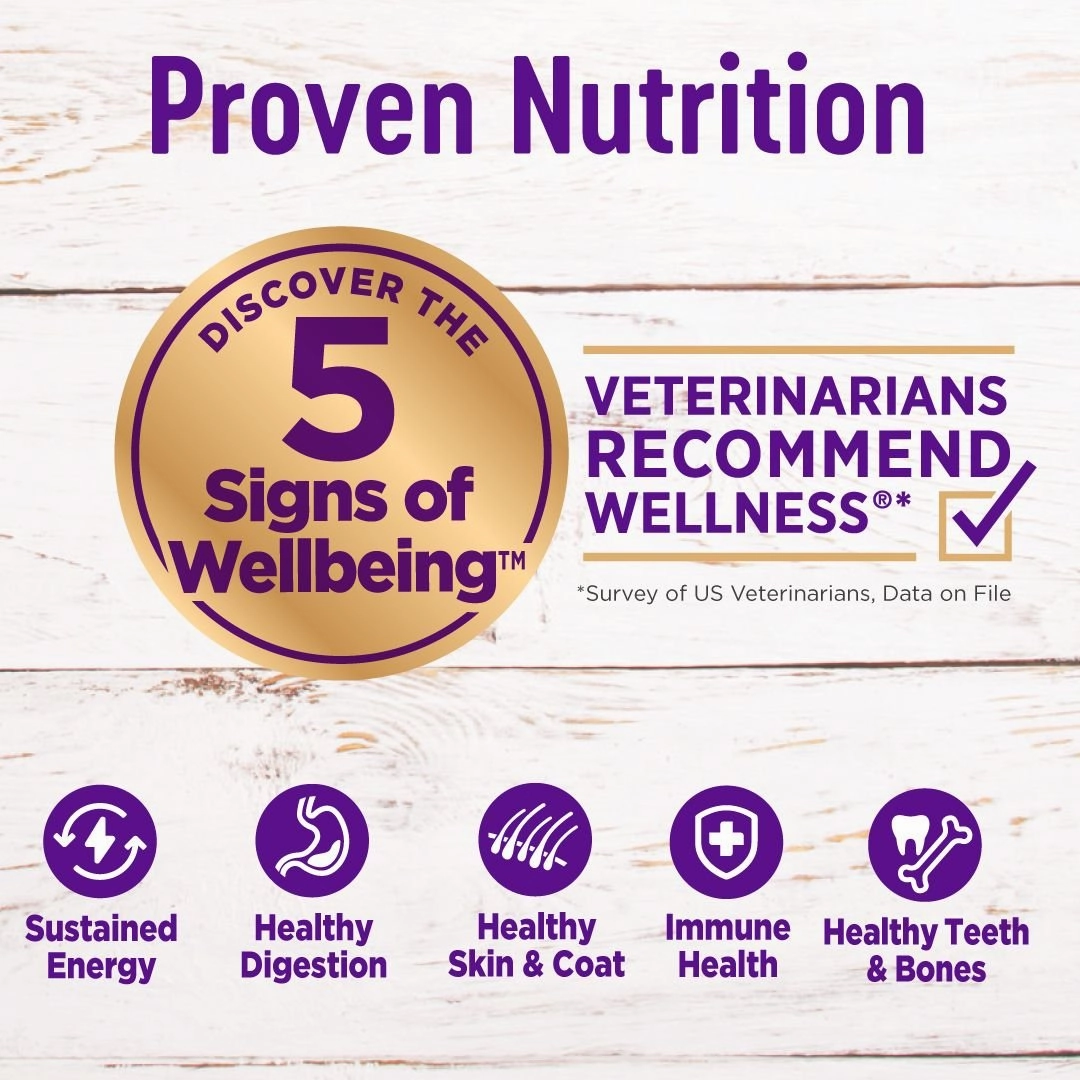 Wellness Complete Health Grain Free Puppy Deboned Chicken, Chicken Meal and Salmon Meal Recipe Dry Dog Food