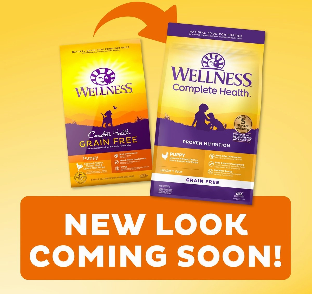 Wellness Complete Health Grain Free Puppy Deboned Chicken, Chicken Meal and Salmon Meal Recipe Dry Dog Food