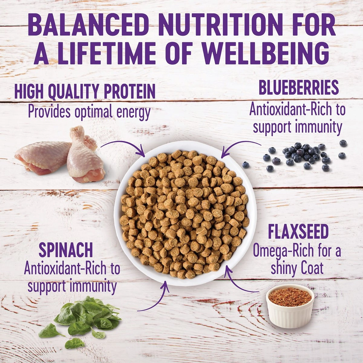 Wellness Complete Health Grain Free Puppy Deboned Chicken, Chicken Meal and Salmon Meal Recipe Dry Dog Food