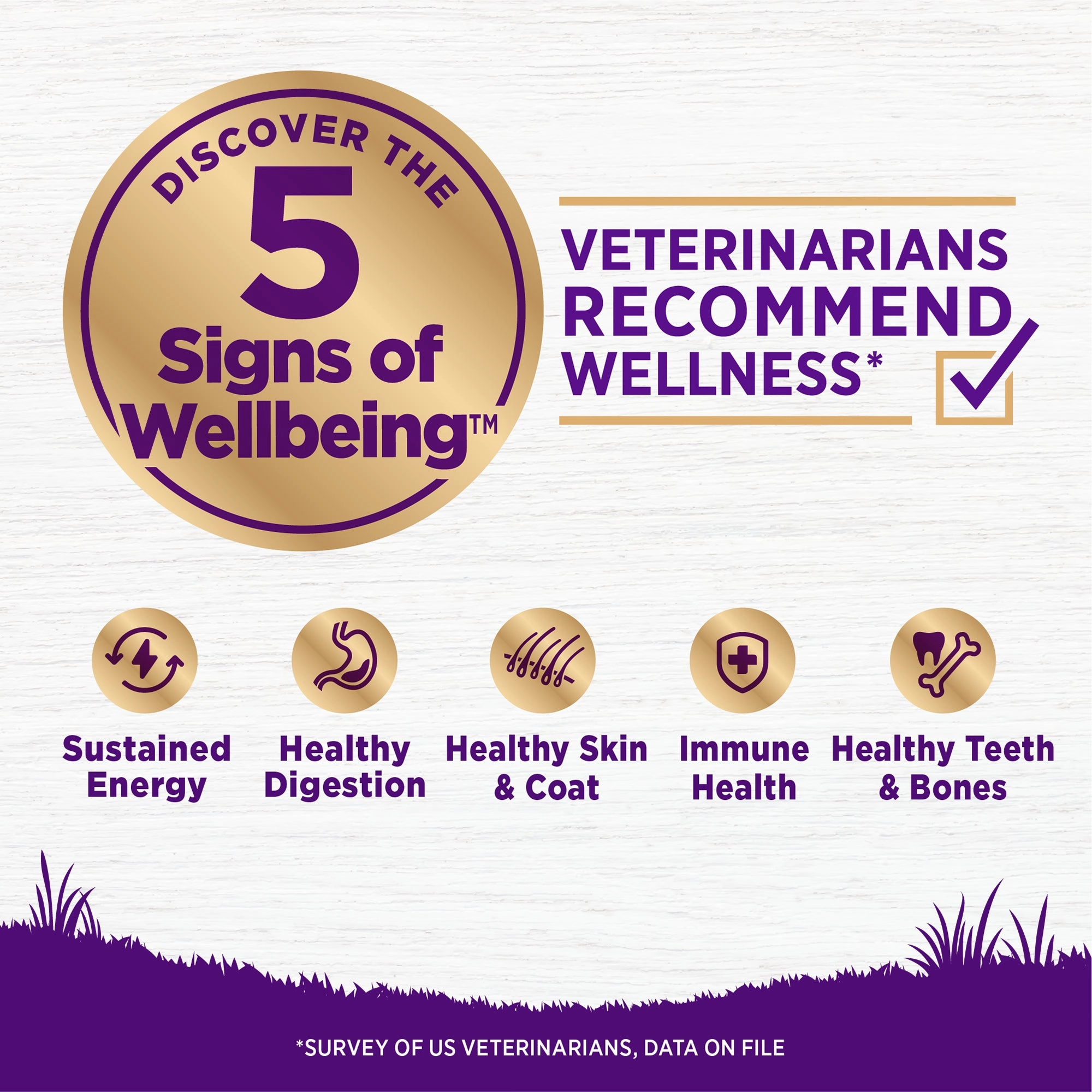 Wellness Complete Health Natural Adult Lamb and Barley Recipe Dry Dog Food