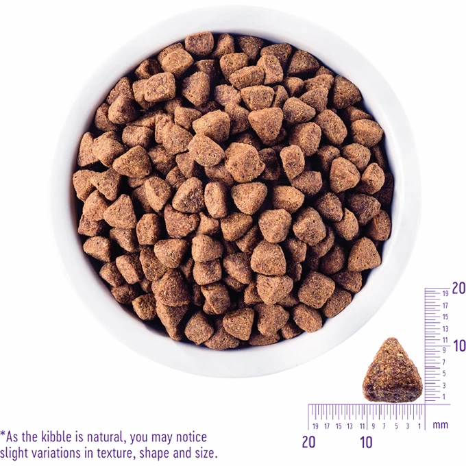Wellness CORE - Grain Free Senior Dog Food - Turkey & Chicken