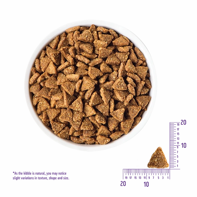 Wellness CORE - Grain Free Small Breed Puppy - Turkey & Chicken 4lb