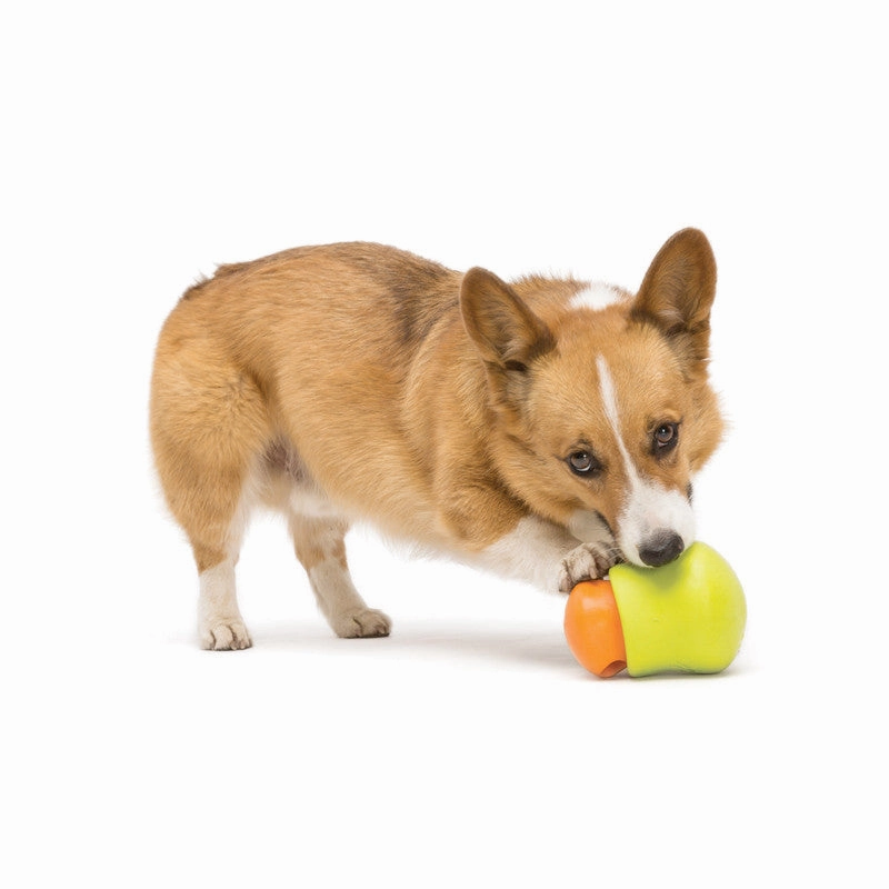 WEST PAW Toppl Dog Toy - Granny Smith