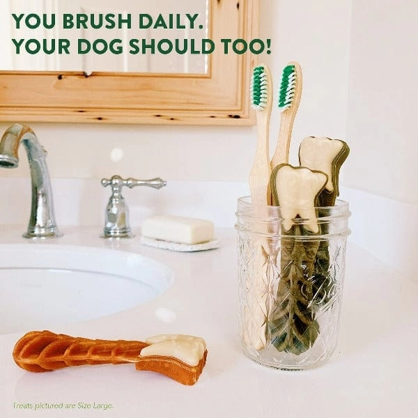 Whimzees Brushzees Natural Dental Chews