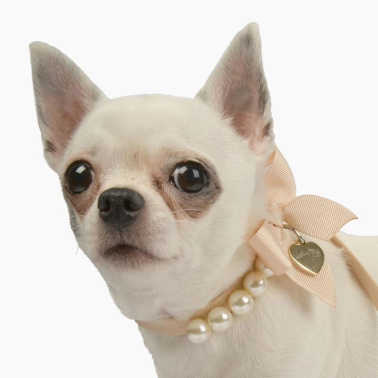 White Pearl Dog Collar