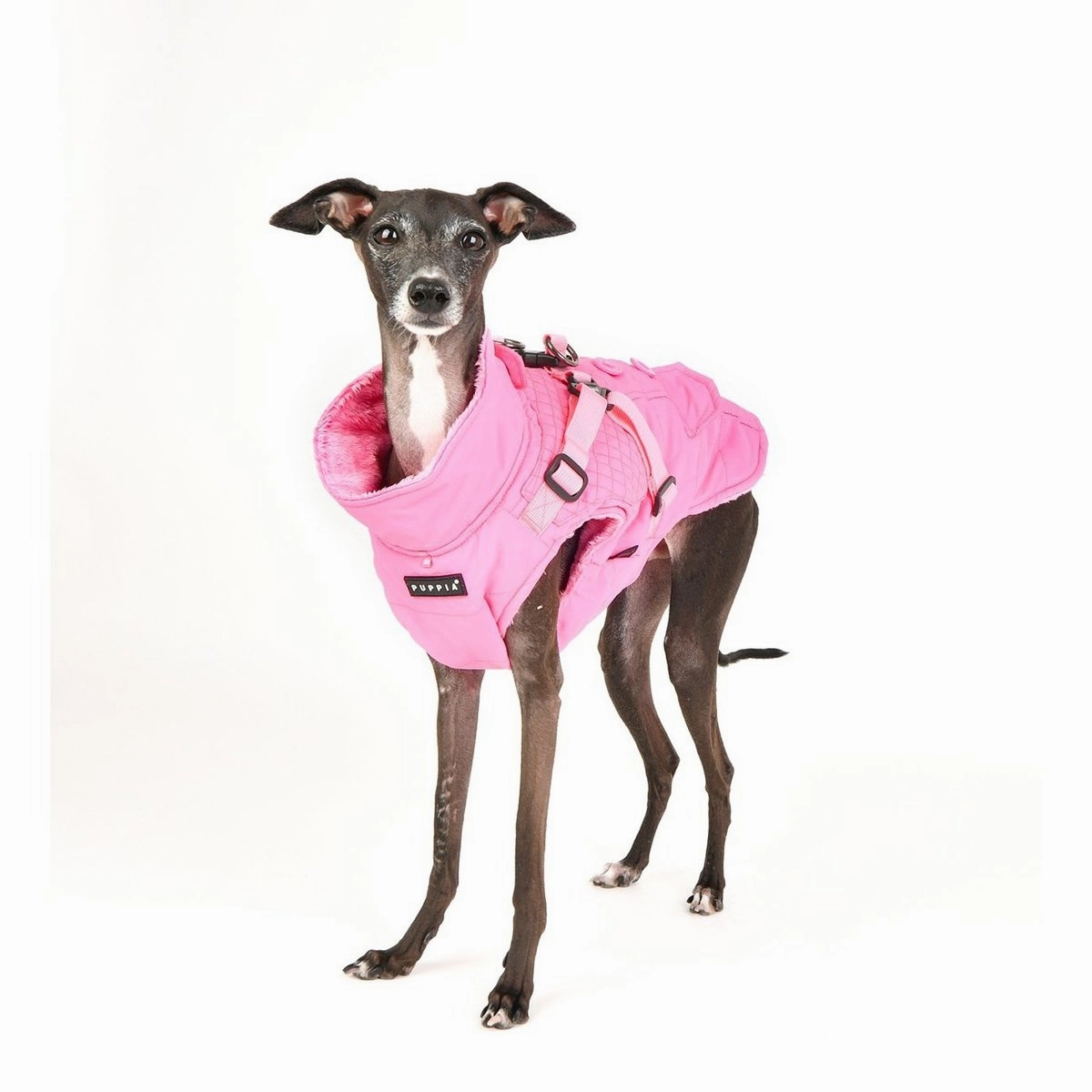 Wilkes Dog Coat