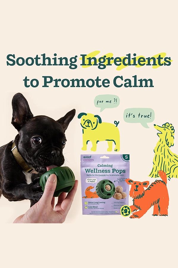 Woof Pupsicle Beef and Peanut Butter Calming Refill Pops Dog Toy