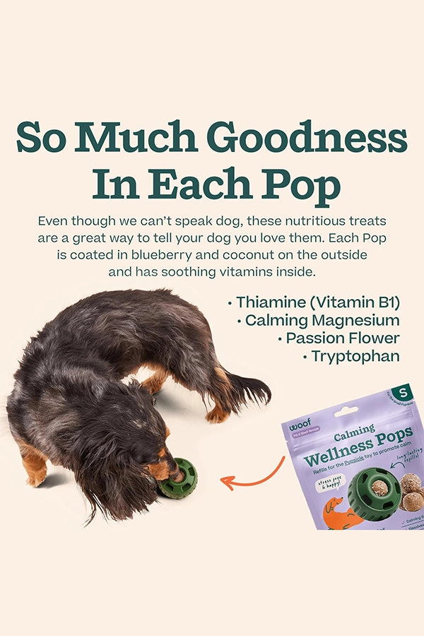 Woof Pupsicle Beef and Peanut Butter Calming Refill Pops Dog Toy