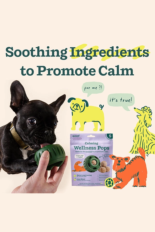 Woof Pupsicle Beef and Peanut Butter Calming Refill Pops Dog Toy