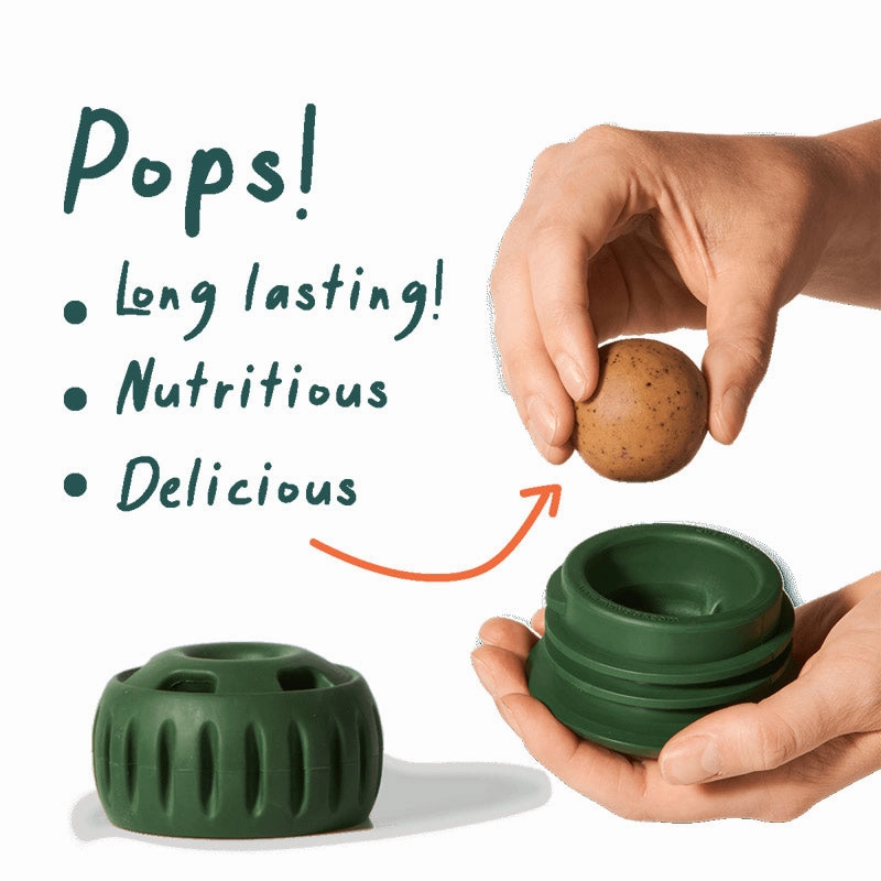 WOOF Pupsicle Refill Pops PB & Beef Recipe Treats for Dogs