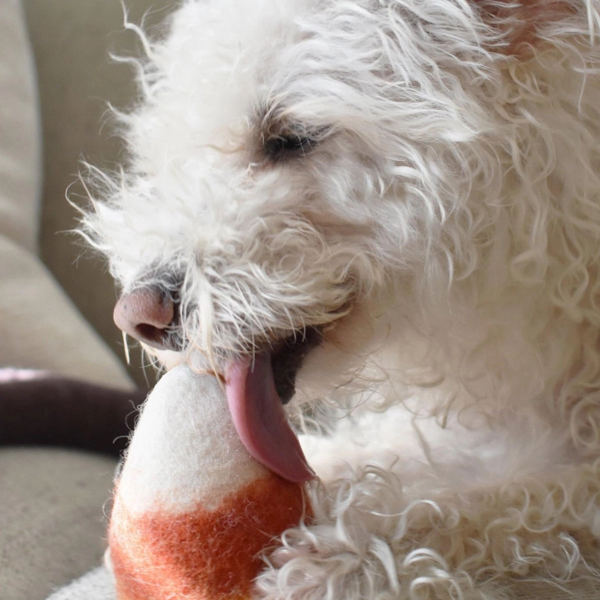 Wool Candy Corn Dog Toy