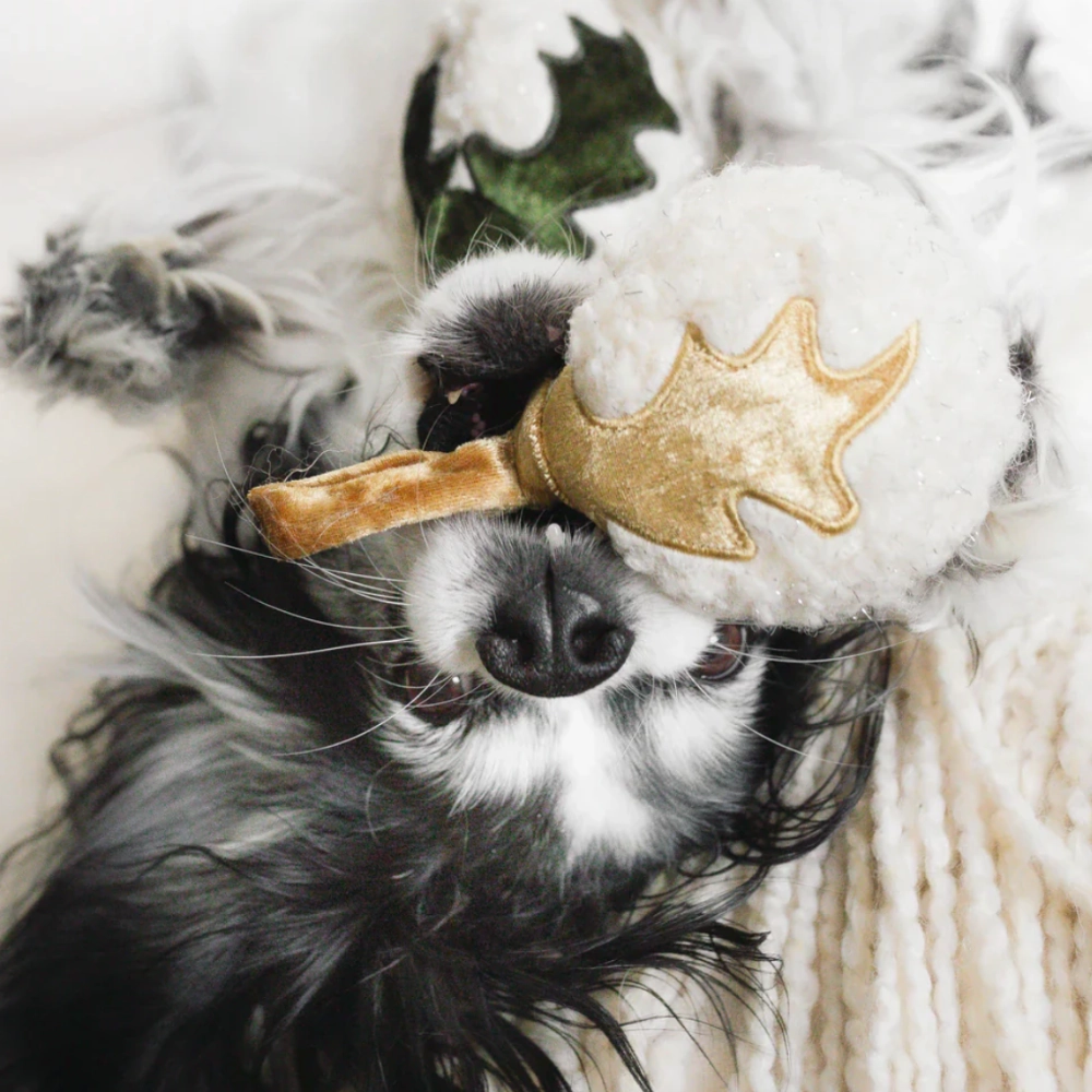 Xmas Blubs Dog Toy